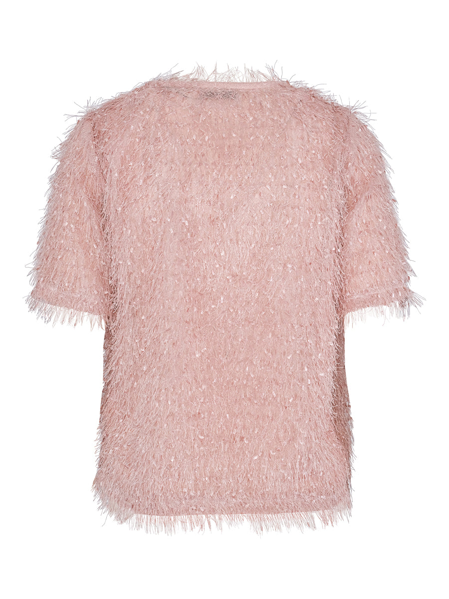 Hairy top Rose
