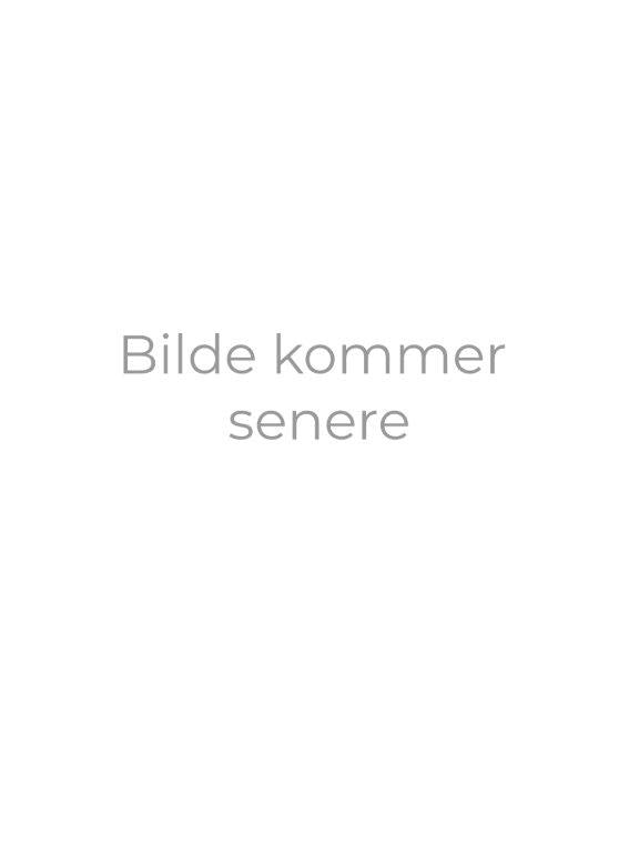 55891-3100-1.jpg